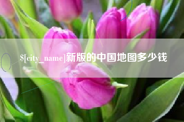 株洲新版的中国地图多少钱