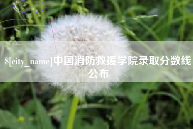 株洲中国消防救援学院录取分数线公布