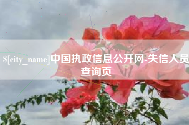 株洲中国执政信息公开网-失信人员查询页