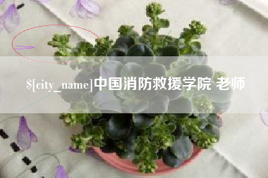 株洲中国消防救援学院 老师