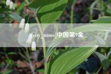 株洲中国第9金