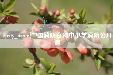 株洲中国消防官网中小学消防公开课
