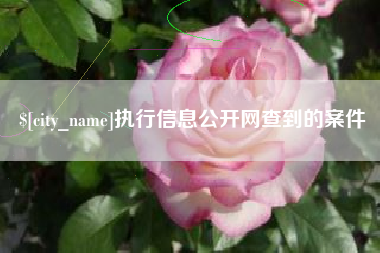 株洲执行信息公开网查到的案件