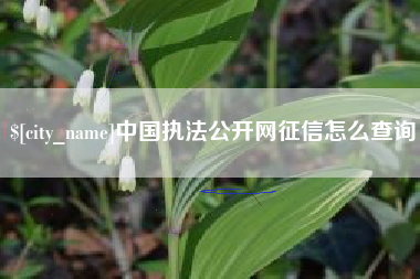株洲中国执法公开网征信怎么查询