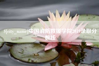 株洲中国消防救援学院2019录取分数线