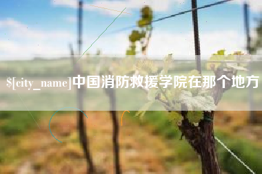 株洲中国消防救援学院在那个地方
