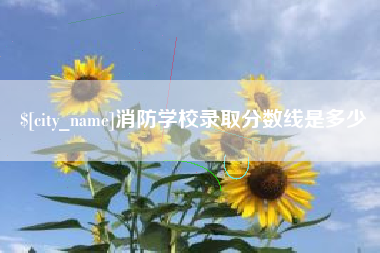 株洲消防学校录取分数线是多少