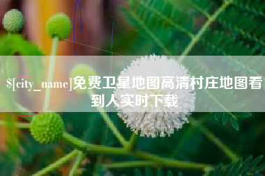 株洲免费卫星地图高清村庄地图看到人实时下载