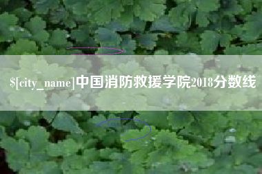 株洲中国消防救援学院2018分数线
