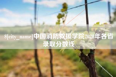 株洲中国消防救援学院2020年各省录取分数线