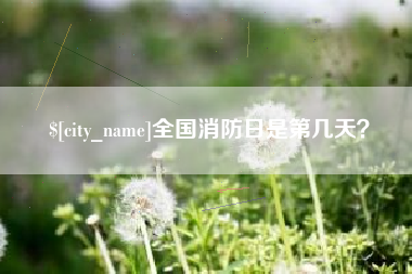 株洲全国消防日是第几天？