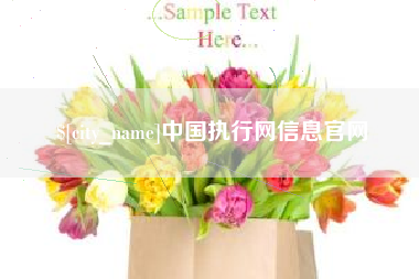 株洲中国执行网信息官网