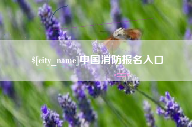 株洲中国消防报名入口