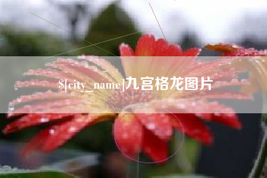 株洲九宫格龙图片