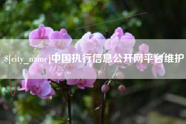 株洲中国执行信息公开网平台维护