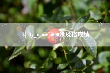 株洲5000米及格成绩