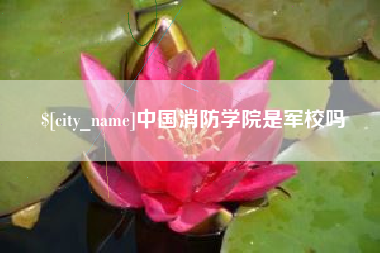 株洲中国消防学院是军校吗