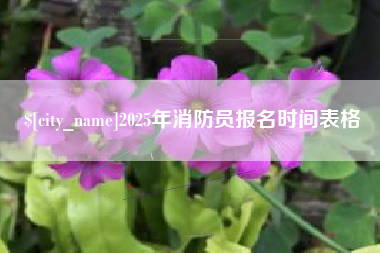 株洲2025年消防员报名时间表格