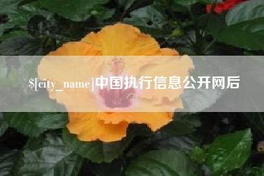 株洲中国执行信息公开网后