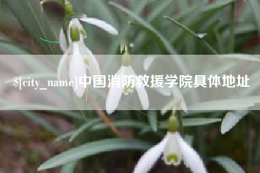 株洲中国消防救援学院具体地址