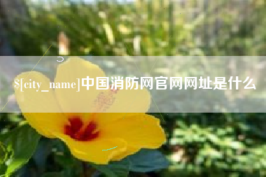 株洲中国消防网官网网址是什么