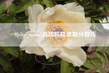 株洲消防院校录取分数线