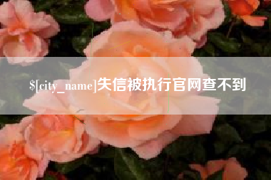 株洲失信被执行官网查不到