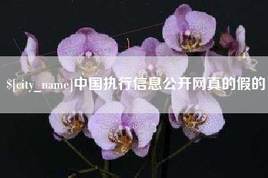 株洲中国执行信息公开网真的假的