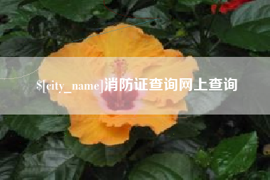株洲消防证查询网上查询