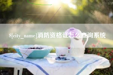 株洲消防资格证怎么查询系统