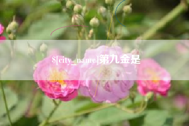 株洲第九金是