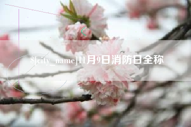 株洲11月9日消防日全称