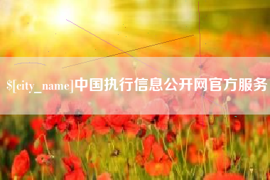 株洲中国执行信息公开网官方服务