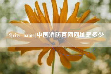 株洲中国消防官网网址是多少