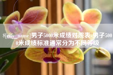 株洲男子5000米成绩对照表-男子5000米成绩标准通常分为不同等级