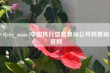 株洲中国执行信息查询公开网查询官网