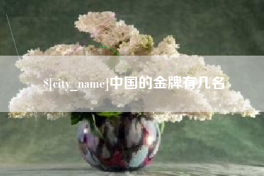 株洲中国的金牌有几名