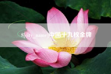 株洲中国十九枚金牌