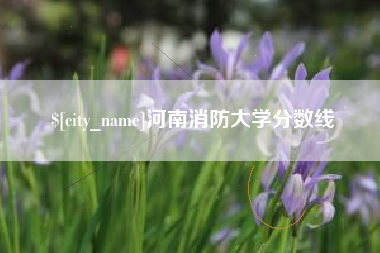 株洲河南消防大学分数线
