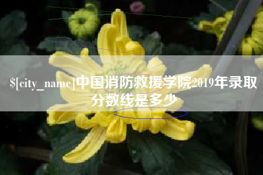 株洲中国消防救援学院2019年录取分数线是多少