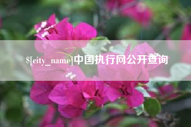 株洲中国执行网公开查询
