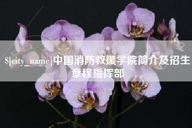 株洲中国消防救援学院简介及招生章程指挥部