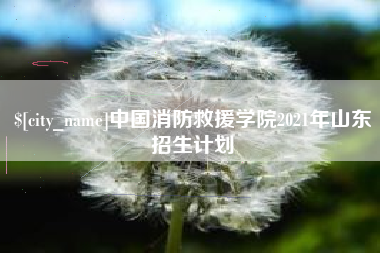 株洲中国消防救援学院2021年山东招生计划