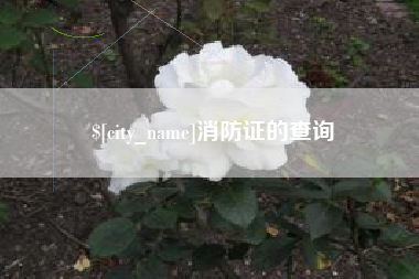 株洲消防证的查询