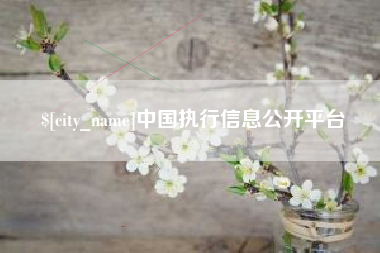 株洲中国执行信息公开平台