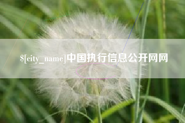 株洲中国执行信息公开网网