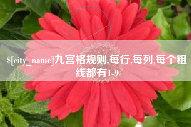 株洲九宫格规则,每行,每列,每个粗线都有1-9