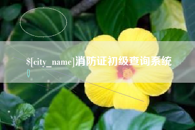 株洲消防证初级查询系统