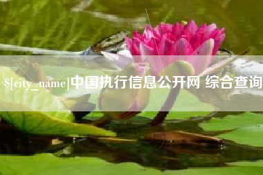 株洲中国执行信息公开网 综合查询