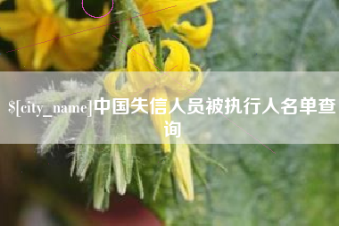 株洲中国失信人员被执行人名单查询